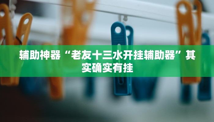 辅助神器“老友十三水开挂辅助器”其实确实有挂
