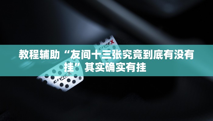教程辅助“友间十三张究竟到底有没有挂”其实确实有挂 