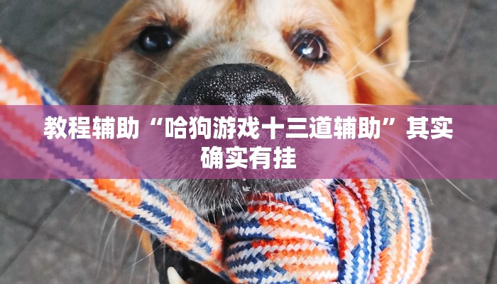 教程辅助“哈狗游戏十三道辅助”其实确实有挂