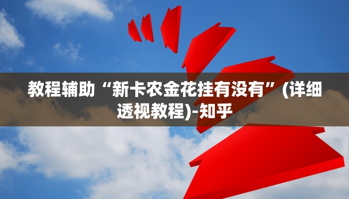 教程辅助“新卡农金花挂有没有”(详细透视教程)-知乎