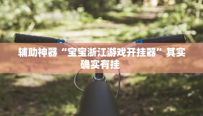 辅助神器“宝宝浙江游戏开挂器”其实确实有挂 