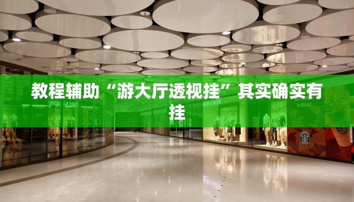 教程辅助“游大厅透视挂”其实确实有挂