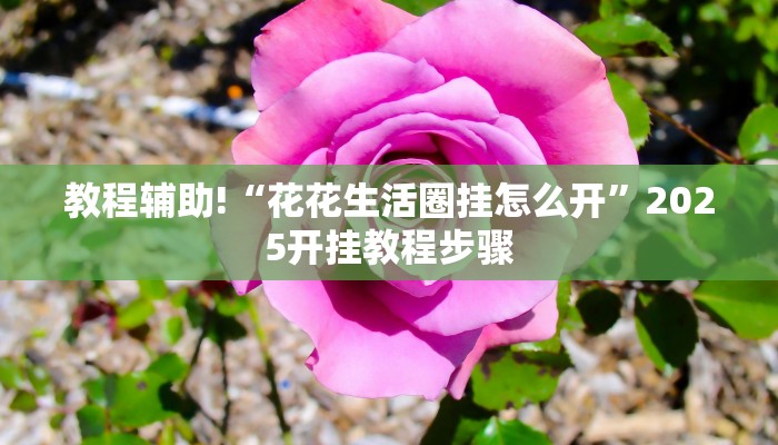 教程辅助!“花花生活圈挂怎么开”2025开挂教程步骤