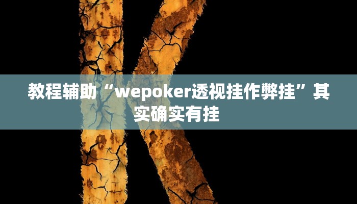 教程辅助“wepoker透视挂作弊挂”其实确实有挂 