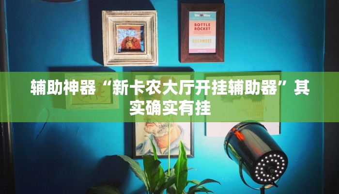 辅助神器“新卡农大厅开挂辅助器”其实确实有挂