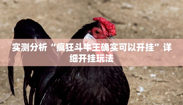 实测分析“疯狂斗牛王确实可以开挂”详细开挂玩法