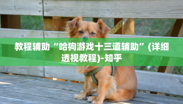 教程辅助“哈狗游戏十三道辅助”(详细透视教程)-知乎