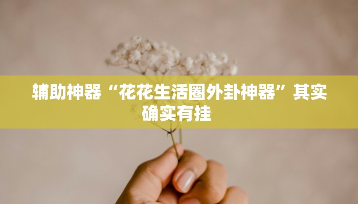 辅助神器“花花生活圈外卦神器”其实确实有挂 