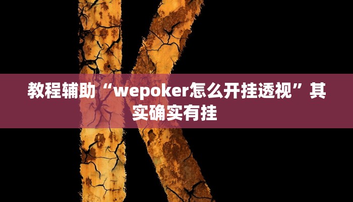 教程辅助“wepoker怎么开挂透视”其实确实有挂 