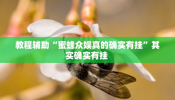 教程辅助“蜜蜂众娱真的确实有挂”其实确实有挂 