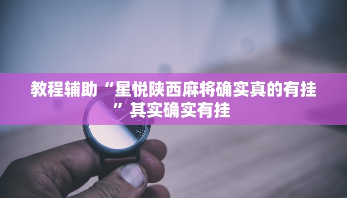 教程辅助“星悦陕西麻将确实真的有挂”其实确实有挂 