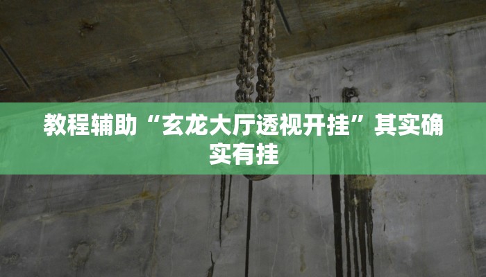 教程辅助“玄龙大厅透视开挂”其实确实有挂