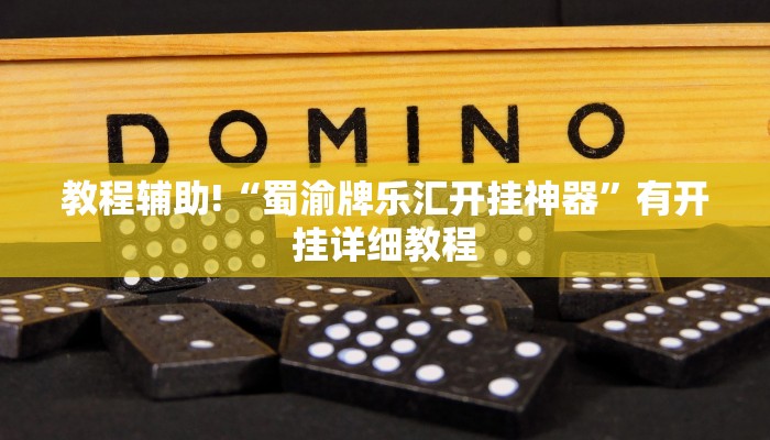 教程辅助!“蜀渝牌乐汇开挂神器”有开挂详细教程