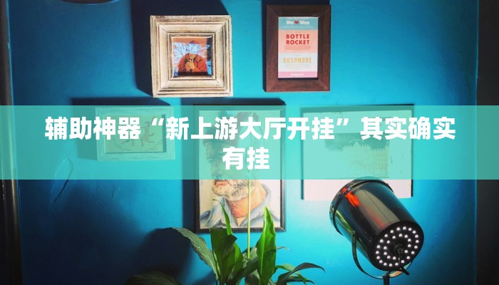 辅助神器“新上游大厅开挂”其实确实有挂 
