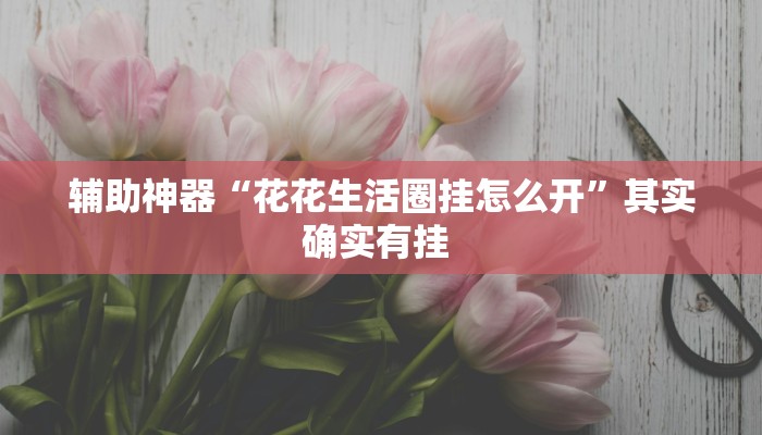 辅助神器“花花生活圈挂怎么开”其实确实有挂 