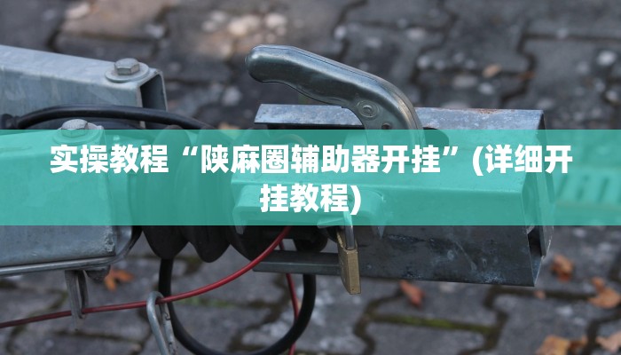 实操教程“陕麻圈辅助器开挂”(详细开挂教程)