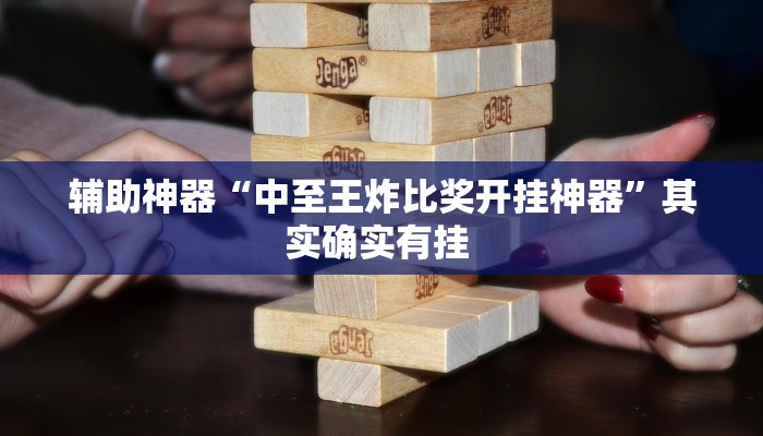 辅助神器“中至王炸比奖开挂神器”其实确实有挂 