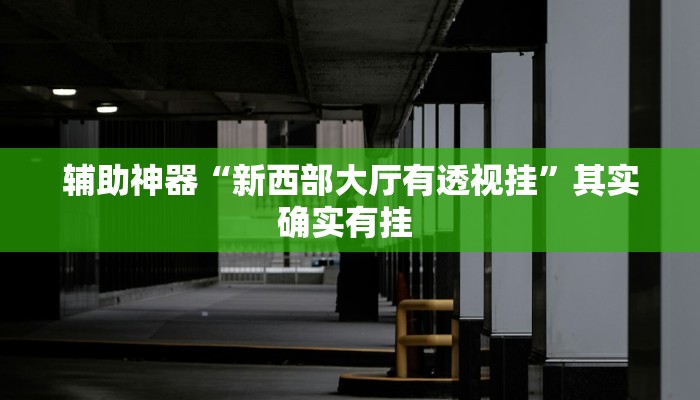 辅助神器“新西部大厅有透视挂”其实确实有挂 