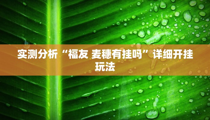 实测分析“福友 麦穗有挂吗”详细开挂玩法