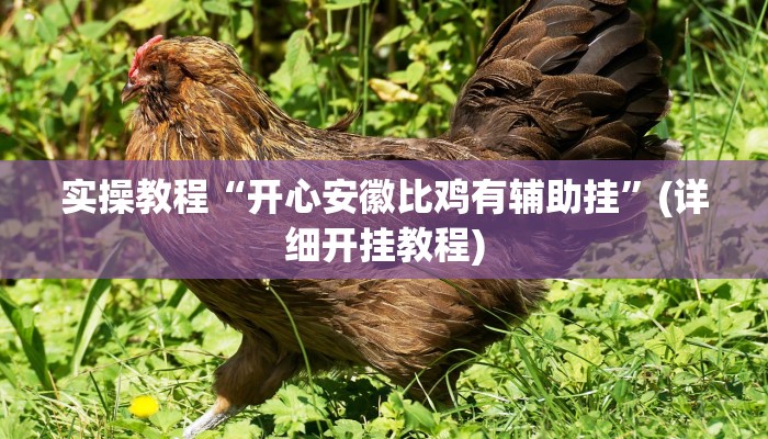 实操教程“开心安徽比鸡有辅助挂”(详细开挂教程)