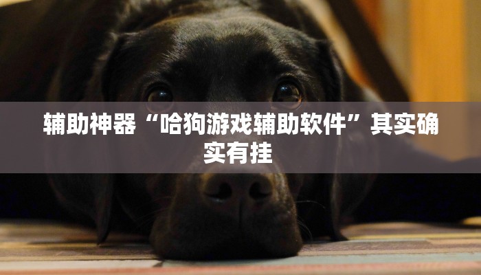 辅助神器“哈狗游戏辅助软件”其实确实有挂 