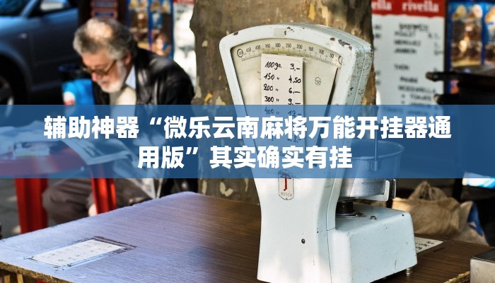 辅助神器“微乐云南麻将万能开挂器通用版”其实确实有挂 