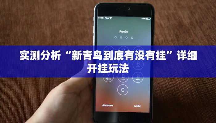 实测分析“新青鸟到底有没有挂”详细开挂玩法