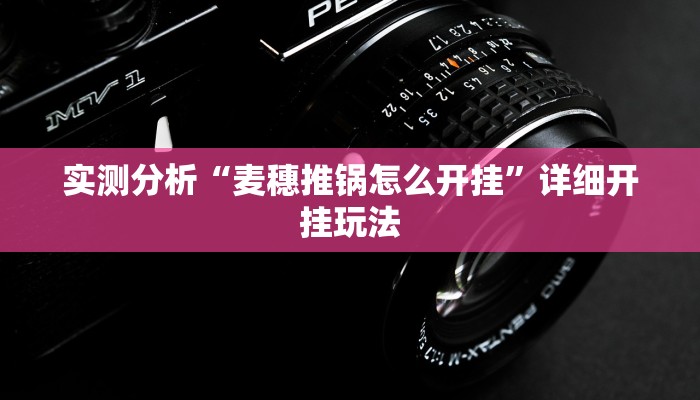 实测分析“麦穗推锅怎么开挂”详细开挂玩法