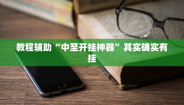 教程辅助“中至开挂神器”其实确实有挂