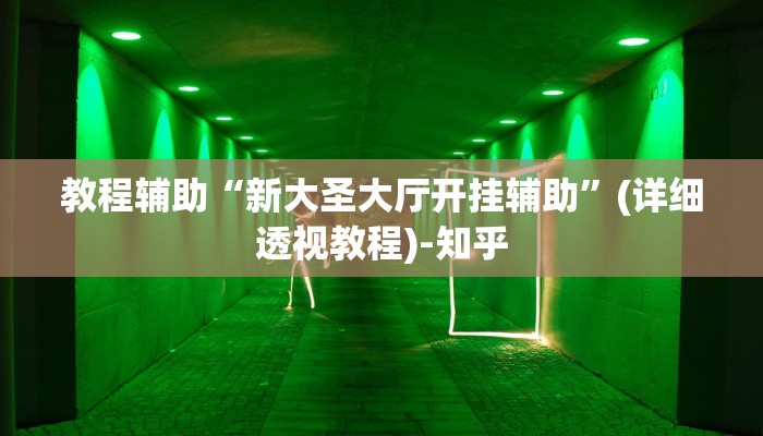 教程辅助“新大圣大厅开挂辅助”(详细透视教程)-知乎