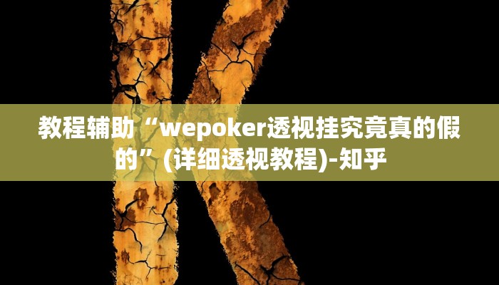 教程辅助“wepoker透视挂究竟真的假的”(详细透视教程)-知乎