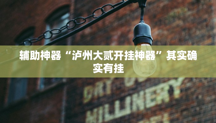 辅助神器“泸州大贰开挂神器”其实确实有挂