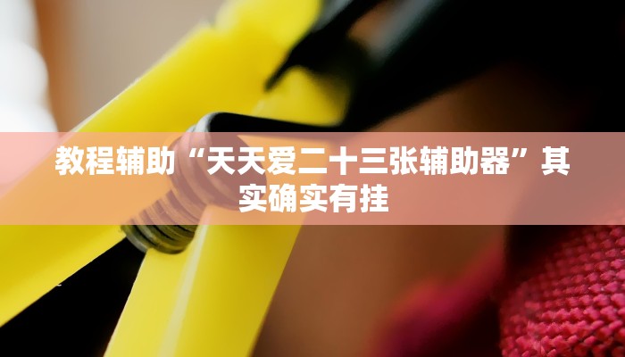 教程辅助“天天爱二十三张辅助器”其实确实有挂