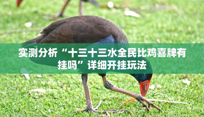 实测分析“十三十三水全民比鸡喜牌有挂吗”详细开挂玩法