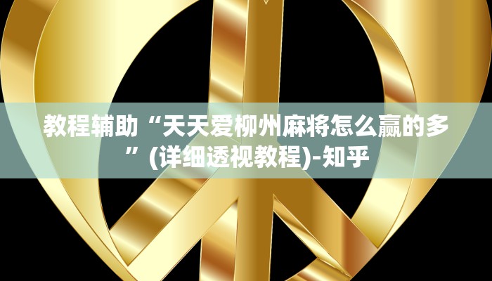 教程辅助“天天爱柳州麻将怎么赢的多”(详细透视教程)-知乎