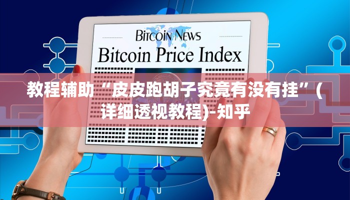 教程辅助“皮皮跑胡子究竟有没有挂”(详细透视教程)-知乎