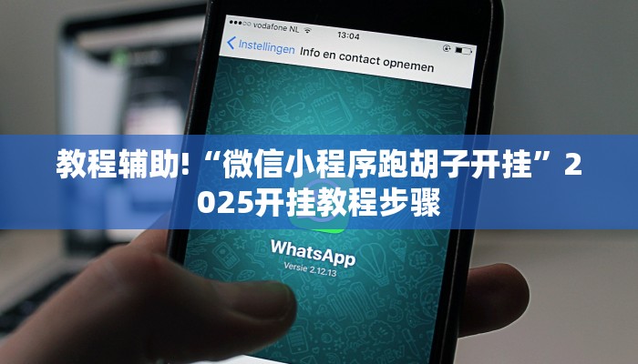 教程辅助!“微信小程序跑胡子开挂”2025开挂教程步骤