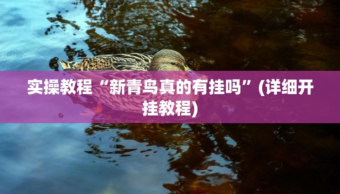实操教程“新青鸟真的有挂吗”(详细开挂教程)