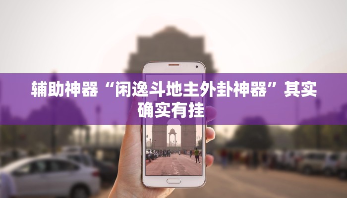 辅助神器“闲逸斗地主外卦神器”其实确实有挂 