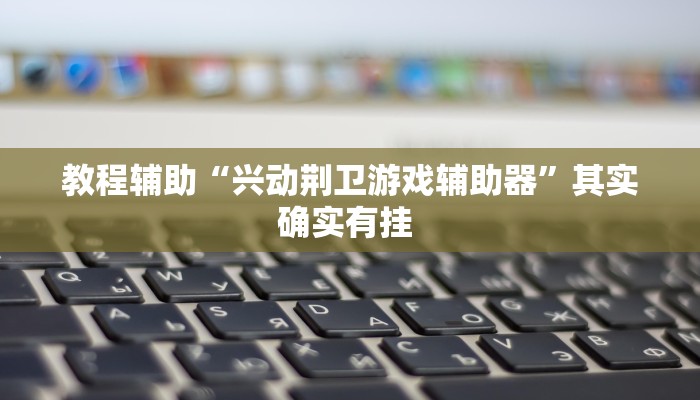 教程辅助“兴动荆卫游戏辅助器”其实确实有挂 