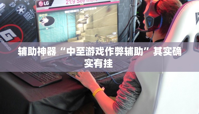 辅助神器“中至游戏作弊辅助”其实确实有挂 