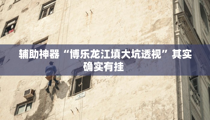 辅助神器“博乐龙江填大坑透视”其实确实有挂 