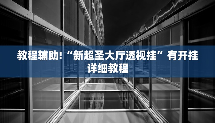 教程辅助!“新超圣大厅透视挂”有开挂详细教程