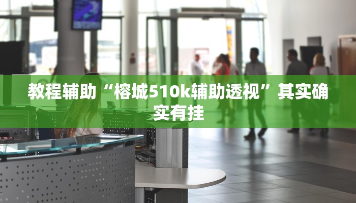 教程辅助“榕城510k辅助透视”其实确实有挂