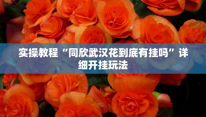 实操教程“同欣武汉花到底有挂吗”详细开挂玩法