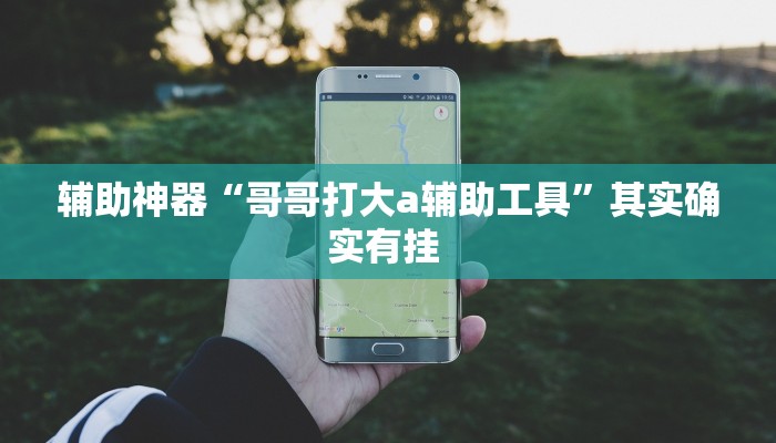 辅助神器“哥哥打大a辅助工具”其实确实有挂 