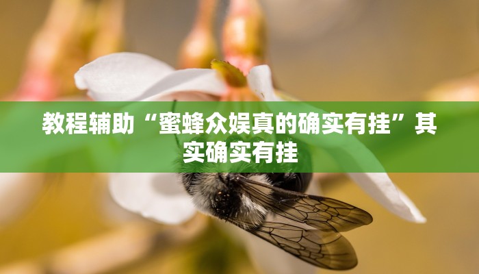 教程辅助“蜜蜂众娱真的确实有挂”其实确实有挂