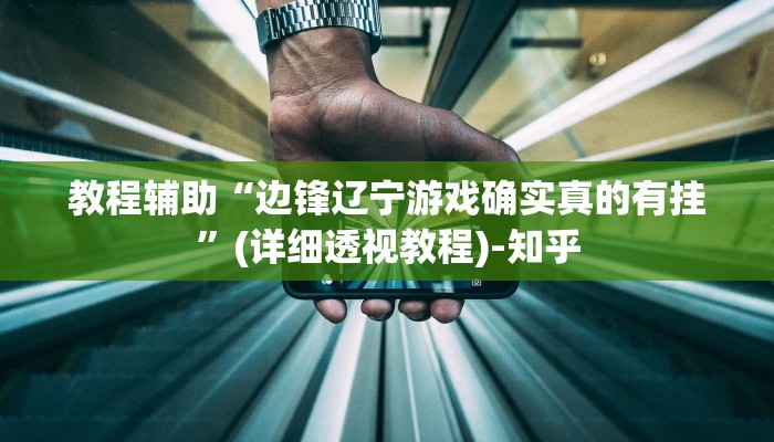 教程辅助“边锋辽宁游戏确实真的有挂”(详细透视教程)-知乎
