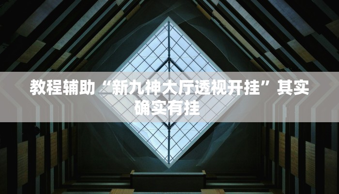 教程辅助“新九神大厅透视开挂”其实确实有挂 