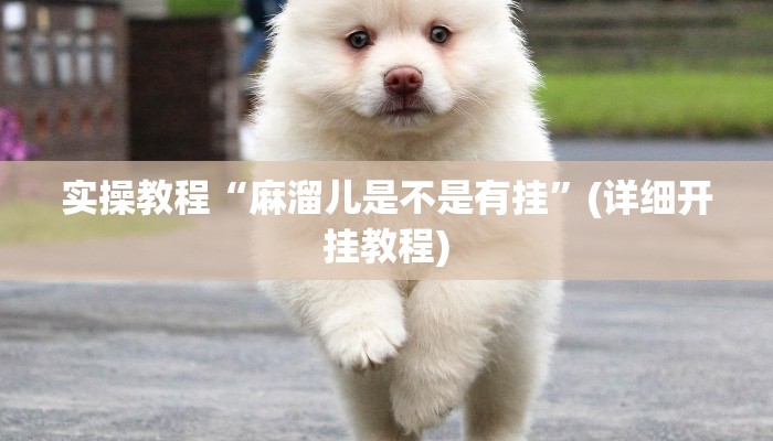 实操教程“麻溜儿是不是有挂”(详细开挂教程)